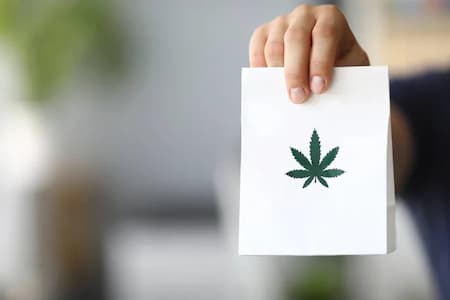 How Marijuana Innovation Is Changing The Industry And The World